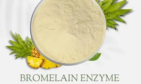 Industrial Uses of Bromelain Enzyme Powder in Food, Health, and Biotechnology